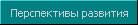  Перспективы развития центра